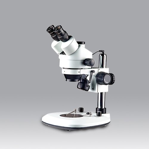 Stereo Microscope